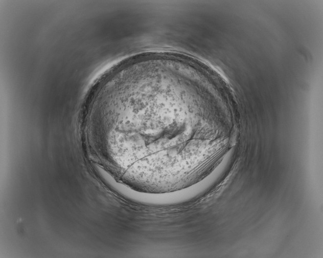 X0000114431311200911131323