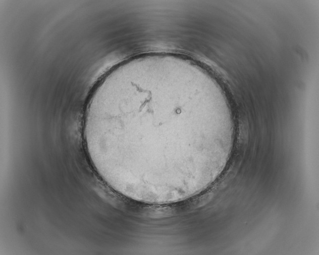X0000114431314200911131323