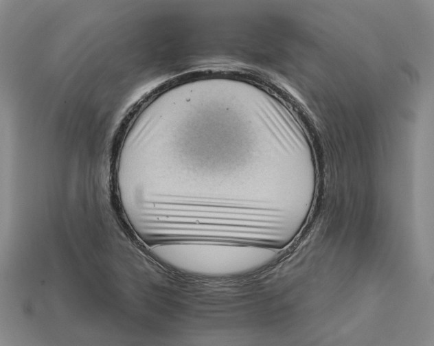X0000114431315200911131323