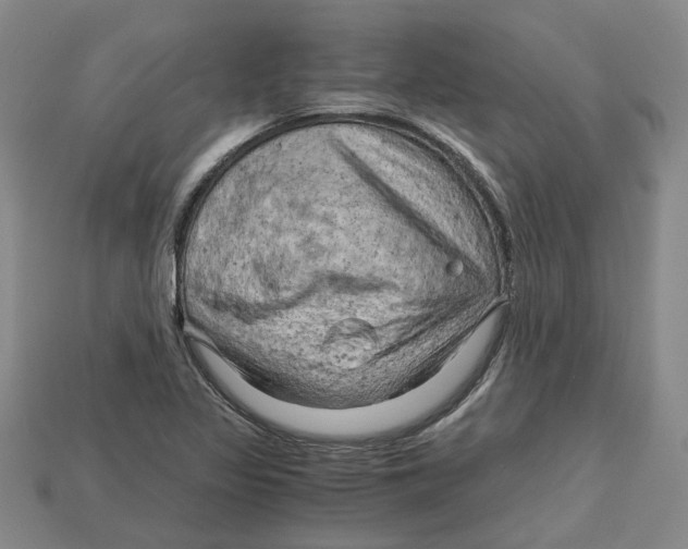 X0000114431317200911131323