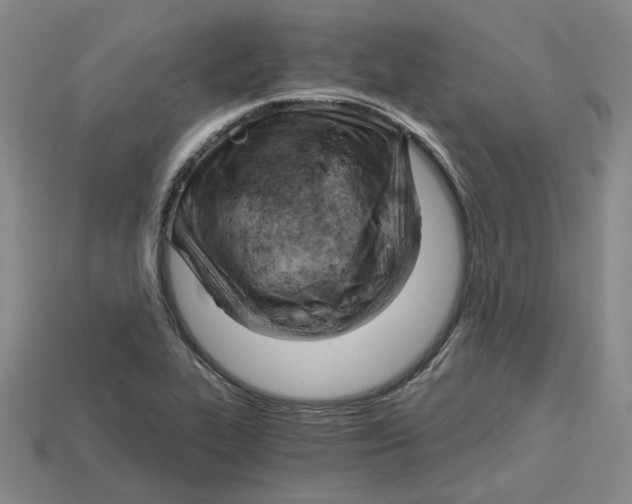 X0000114431319200911131323