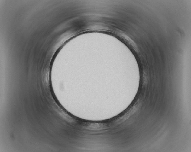 X0000114431322200911131323