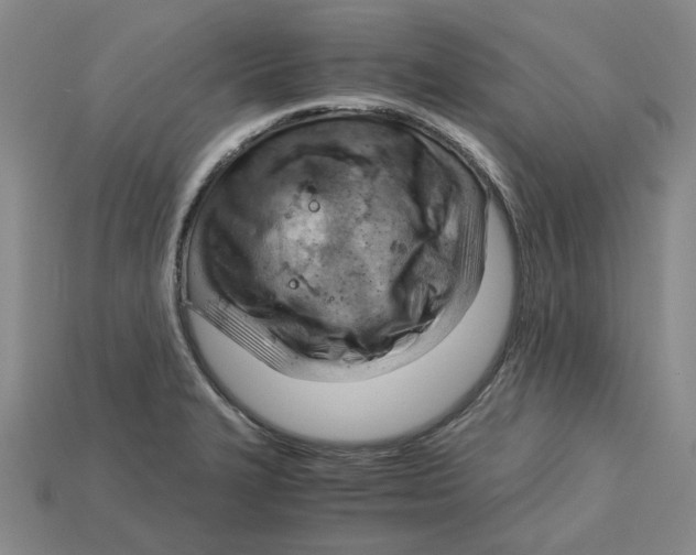 X0000114431327200911131323
