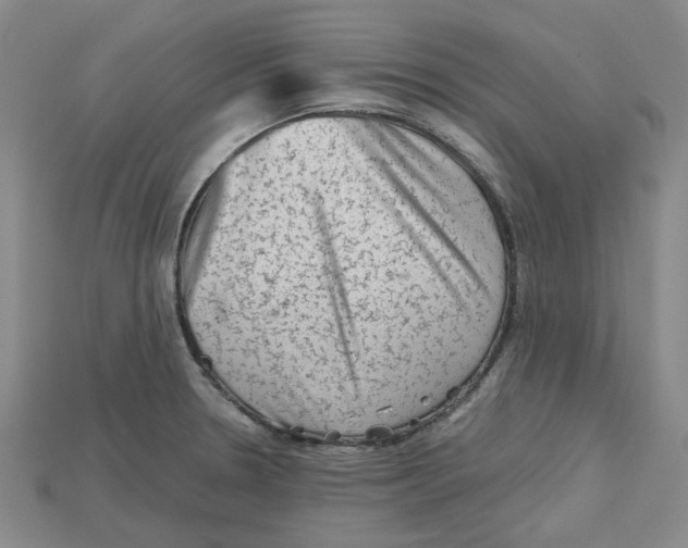 X0000114431330200911131323