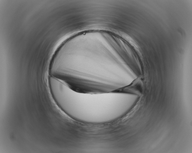 X0000114431334200911131323