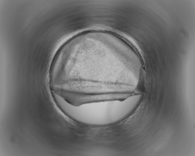 X0000114431335200911131323
