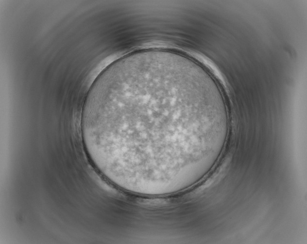 X0000114431337200911131323
