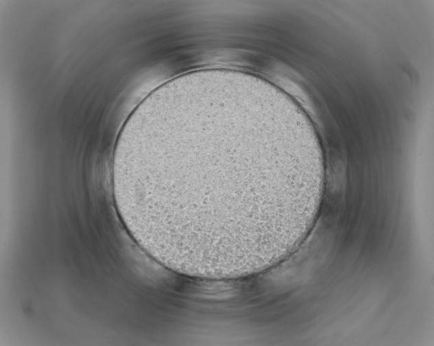 X0000114431338200911131323