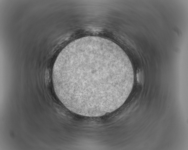 X0000114431347200911131323