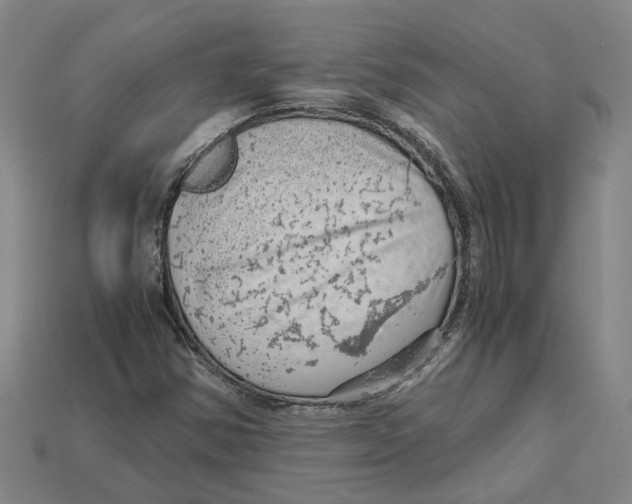 X0000114431354200911131323