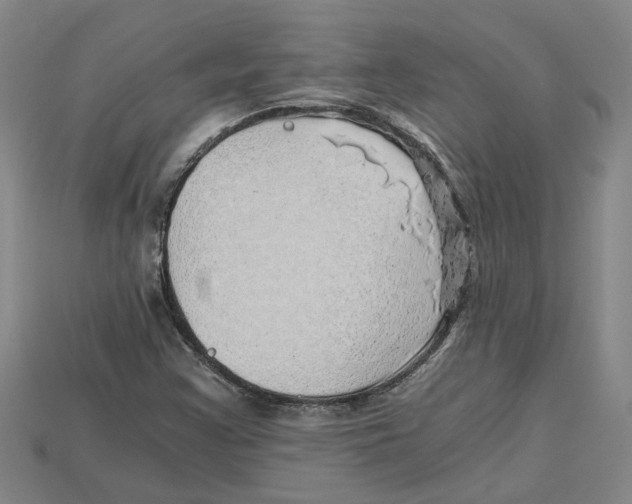 X0000114431355200911131323