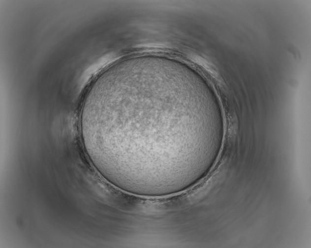 X0000114431357200911131323
