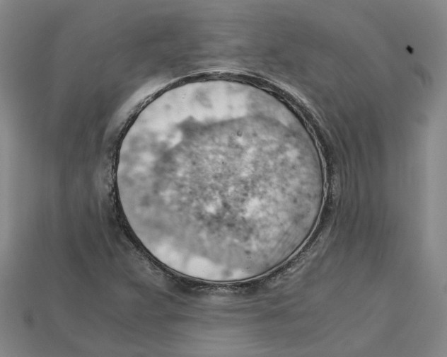X0000114431359200911131323