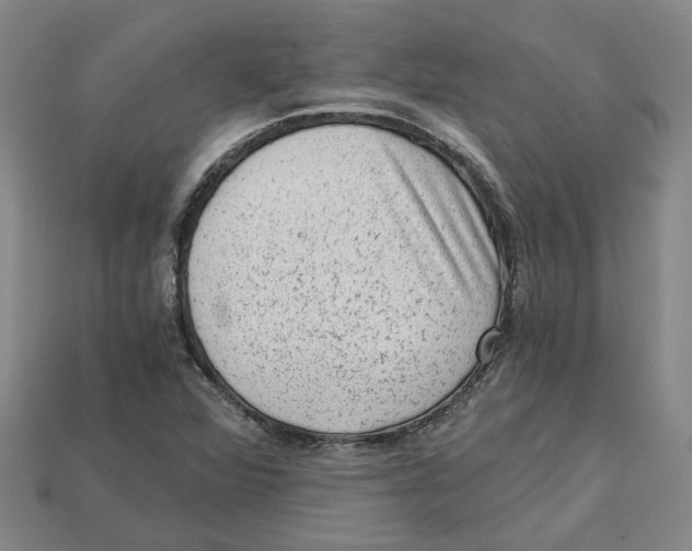 X0000114431360200911131323