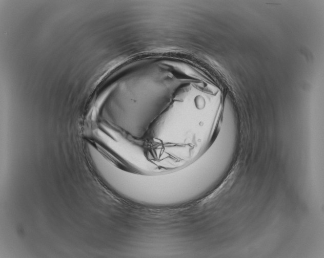 X0000114431361200911131323