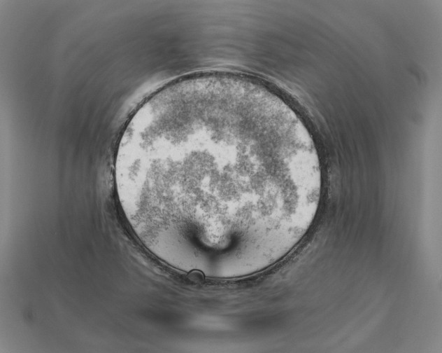 X0000114431363200911131323