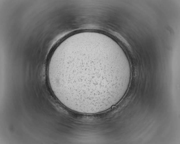 X0000114431364200911131323