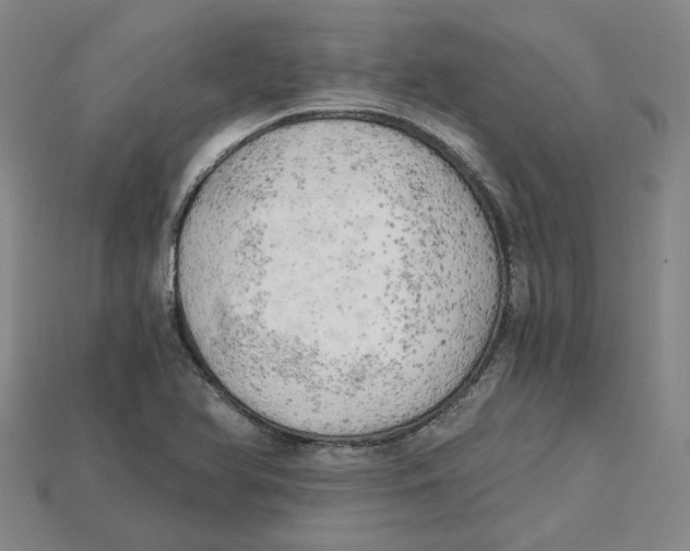 X0000114431366200911131323