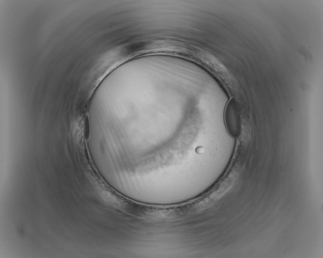 X0000114431369200911131323