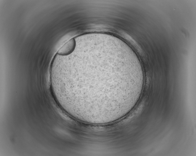 X0000114431370200911131323
