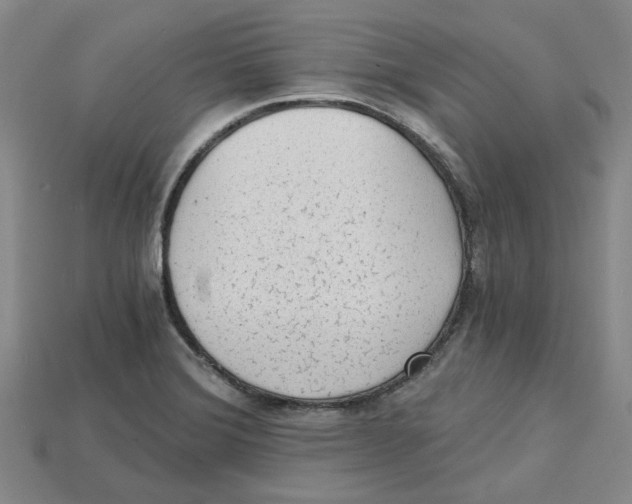 X0000114431372200911131323