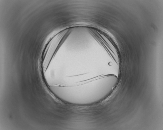 X0000114431373200911131323