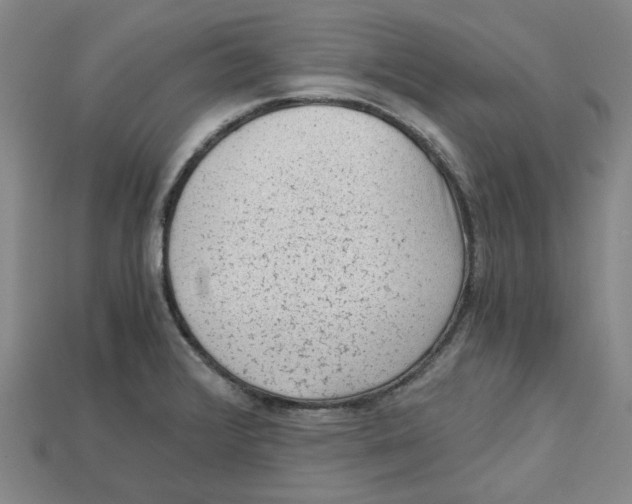 X0000114431376200911131322