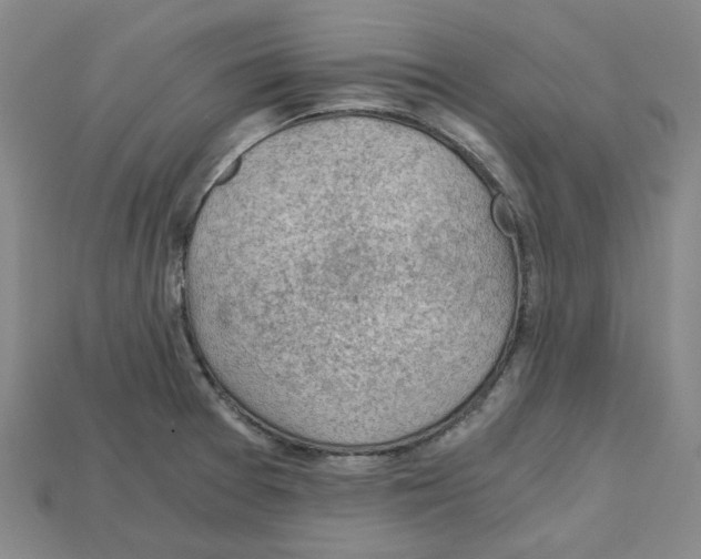 X0000114431377200911131322