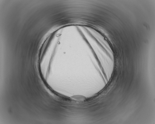 X0000114431379200911131322