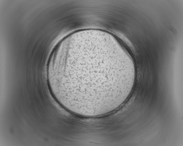 X0000114431380200911131322