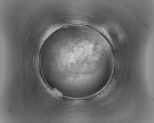 X0000114431381200911131322