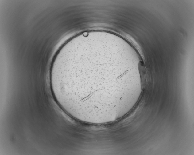 X0000114431384200911131322