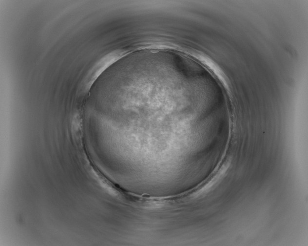 X0000114431385200911131322