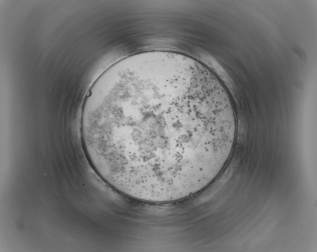 X0000114431386200911131322