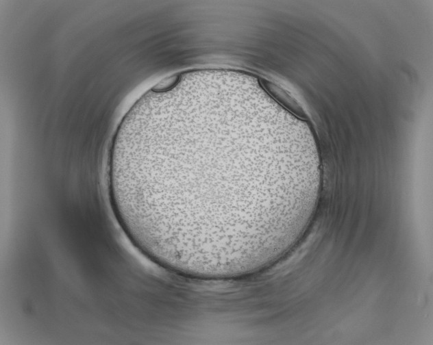 X0000114431387200911131322