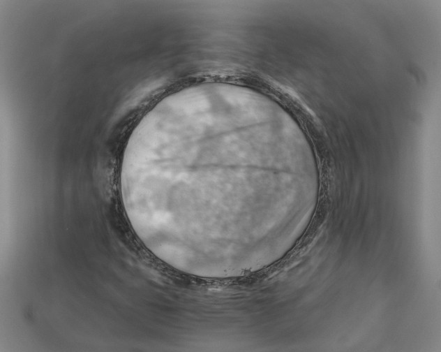 X0000114431399200911131322