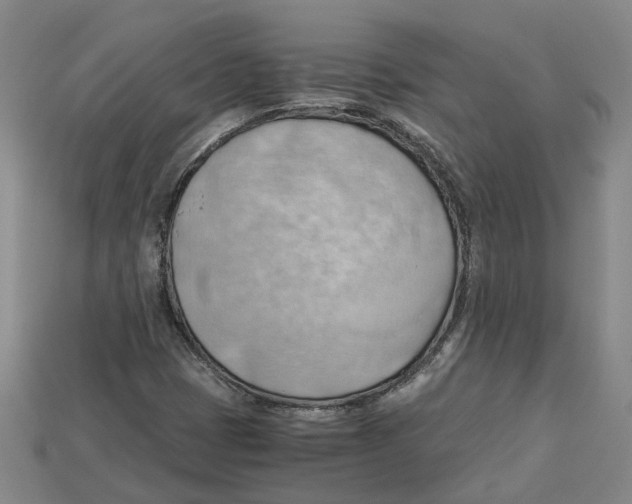 X0000114431401200911131322