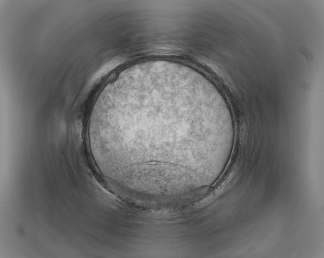 X0000114431402200911131322
