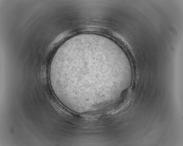 X0000114431403200911131322