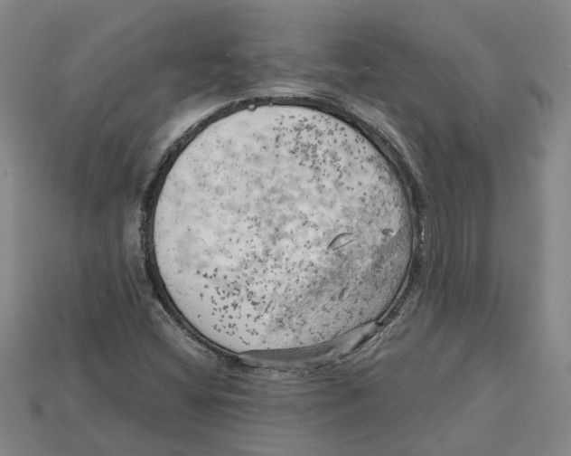 X0000114431404200911131322