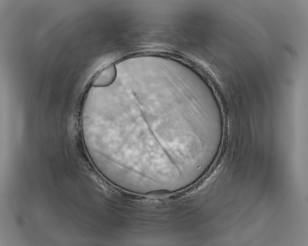 X0000114431405200911131322