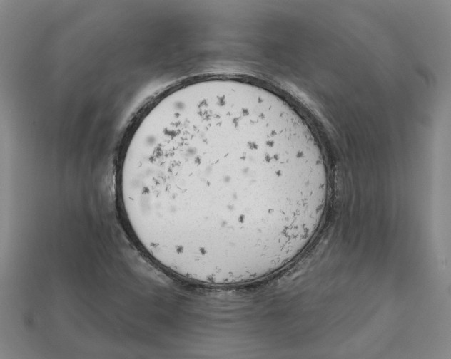 X0000114431408200911131322