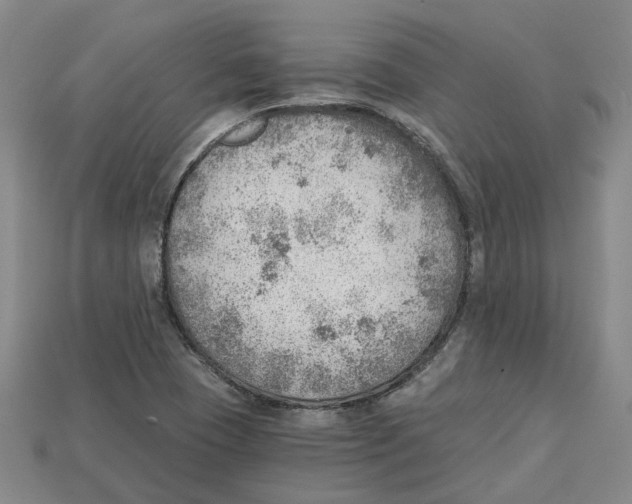 X0000114431409200911131322
