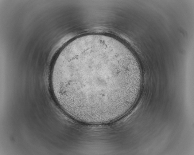 X0000114431410200911131322