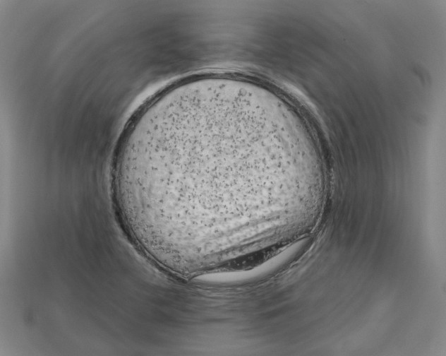 X0000114431412200911131322