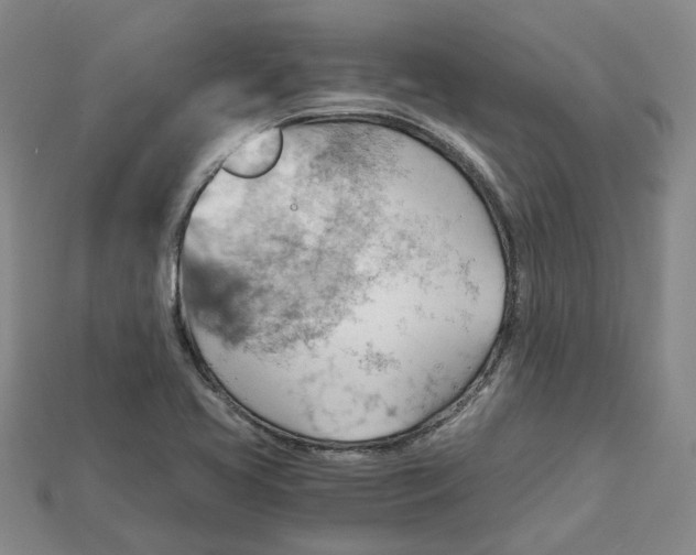 X0000114431413200911131322