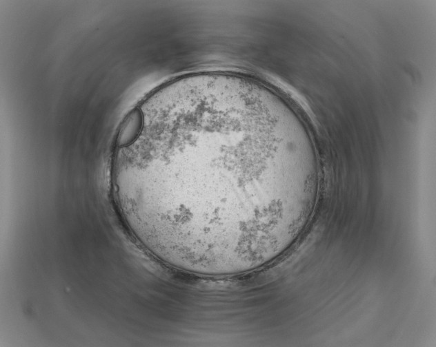 X0000114431415200911131322