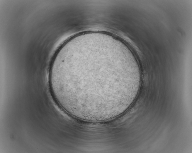 X0000114431416200911131322