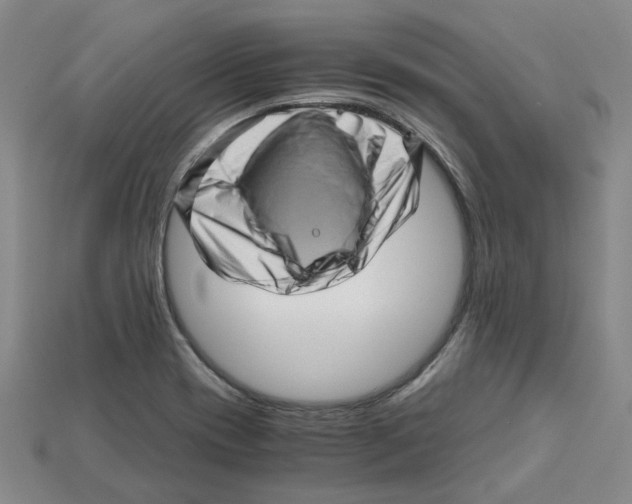 X0000114431417200911131322