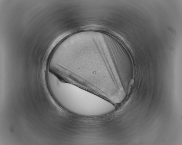X0000114431418200911131322
